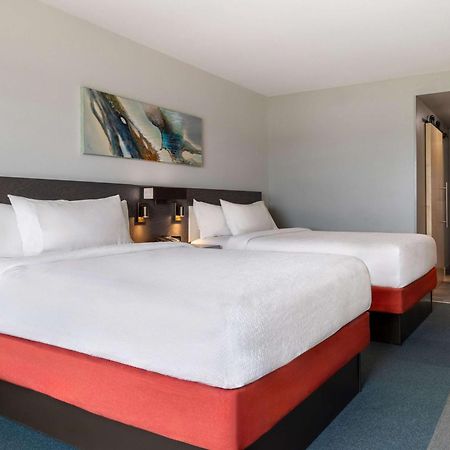 Hilton Garden Inn Fredericton Exterior foto